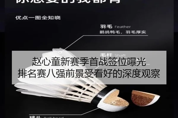 赵心童新赛季首战签位曝光 排名赛八强前景受看好的深度观察 - YABO